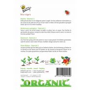 Buzzy® Organic Bieten Detroit 2  (BIO) - afbeelding 2