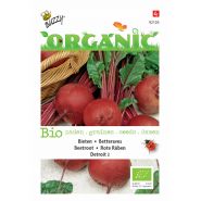 Buzzy® Organic Bieten Detroit 2  (BIO) - afbeelding 1