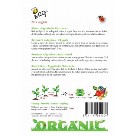 Buzzy® Organic Bieten Egyptische Platronde (BIO) - afbeelding 2