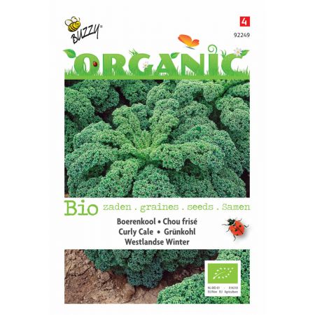 Buzzy® Organic Boerenkool Westlandse Winter  (BIO) - afbeelding 1