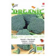 Buzzy® Organic Broccoli Calabrese natalino (BIO) - afbeelding 1