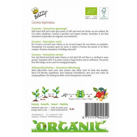 Buzzy® Organic Cosmos Sensation (BIO) - afbeelding 2