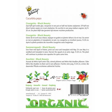 Buzzy® Organic Courgette Black Beauty (BIO) - afbeelding 2