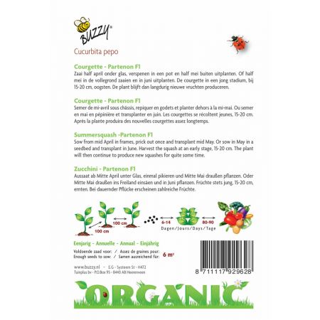 Buzzy® Organic Courgette Partenon F1 (BIO) - afbeelding 2