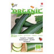 Buzzy® Organic Courgette Partenon F1 (BIO) - afbeelding 1