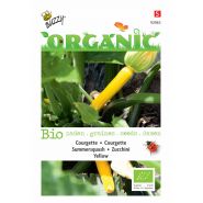 Buzzy® Organic Courgette Yellow (BIO)