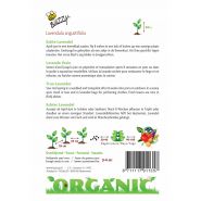 Buzzy® Organic Echte Lavendel  (BIO) - afbeelding 2