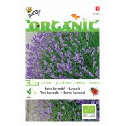 Buzzy® Organic Echte Lavendel  (BIO) - afbeelding 1