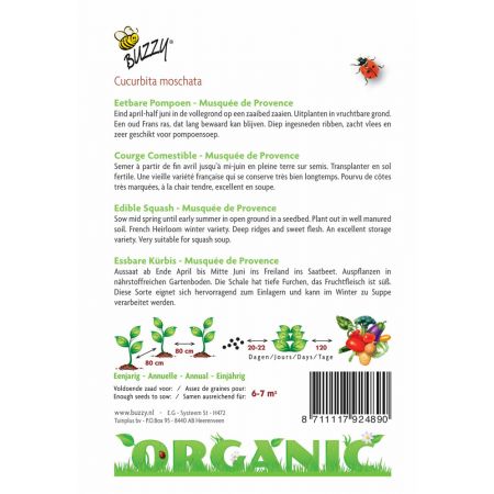 Buzzy® Organic Eetbare Pompoen Musquée de Provence  (BIO) - afbeelding 2