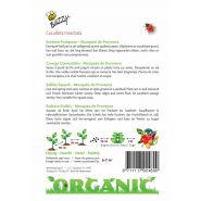 Buzzy® Organic Eetbare Pompoen Musquée de Provence  (BIO) - afbeelding 2