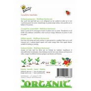 Buzzy® Organic Eetbare Pompoen Waltham Butternut  (BIO) - afbeelding 2