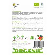 Buzzy® Organic Frans Salademengsel (BIO) - afbeelding 2