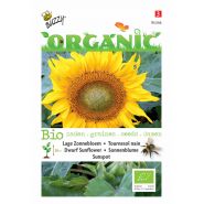 Buzzy® Organic Helianthus, Lage zonnebloem Sunspot (BIO) - afbeelding 1