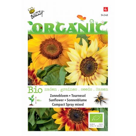 Buzzy® Organic Helianthus, Zonnebloem Compact Spray(BIO) - afbeelding 1