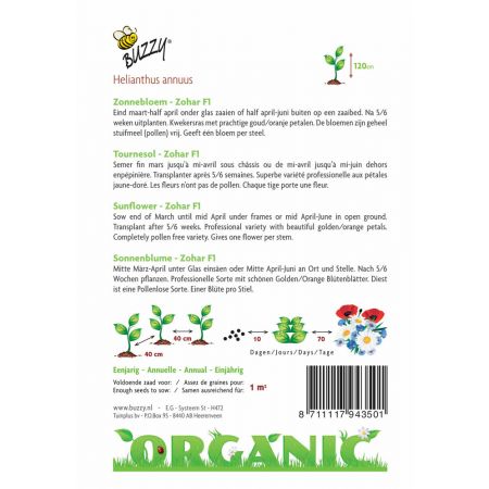 Buzzy® Organic Helianthus, Zonnebloem Zohar F1 (BIO) - afbeelding 2