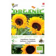 Buzzy® Organic Helianthus, Zonnebloem Zohar F1 (BIO) - afbeelding 1