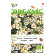 Buzzy® Organic Kamille  (BIO) - afbeelding 1