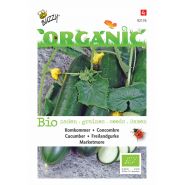 Buzzy® Organic Komkommer Marketmore  (BIO) - afbeelding 1