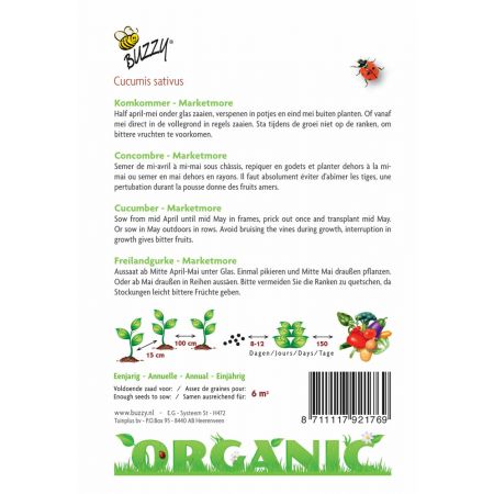 Buzzy® Organic Komkommer Marketmore  (BIO) - afbeelding 2