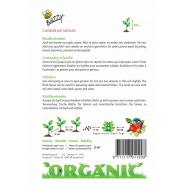 Buzzy® Organic Koriander (bladkoriander) (BIO) - afbeelding 2