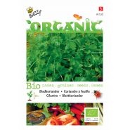 Buzzy® Organic Koriander (bladkoriander) (BIO) - afbeelding 1