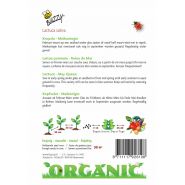 Buzzy® Organic Kropsla Meikoningin  (BIO) - afbeelding 2