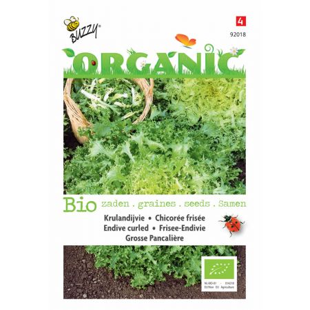 Buzzy® Organic Krulandijvie Grosse Pancalière  (BIO) - afbeelding 1