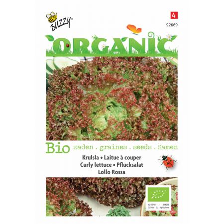 Buzzy® Organic Krulsla Lollo rossa  (BIO) - afbeelding 1