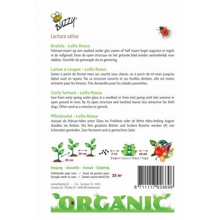 Buzzy® Organic Krulsla Lollo rossa  (BIO) - afbeelding 2