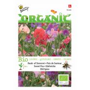 Buzzy® Organic Lathyrus, Reuk- of Siererwt Old Spice (BIO) - afbeelding 1