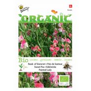 Buzzy® Organic Lathyrus, Reuk- of siererwt Painted Lady(BIO) - afbeelding 1