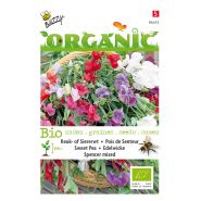 Buzzy® Organic Lathyrus, Reuk- of Siererwt Spencer (BIO) - afbeelding 1