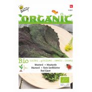 Buzzy® Organic Mosterd Red Giant (BIO) - afbeelding 1