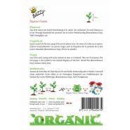 Buzzy® Organic Papaver, Klaproos Rood  (BIO) - afbeelding 2