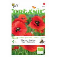 Buzzy® Organic Papaver, Klaproos Rood  (BIO) - afbeelding 1