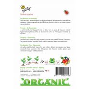 Buzzy® Organic Pastinaak Guernsey (BIO) - afbeelding 2