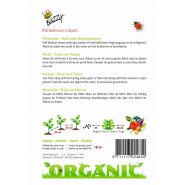 Buzzy® Organic Peterselie Gekrulde Donkergroene  (BIO) - afbeelding 2