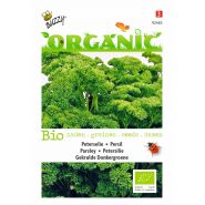 Buzzy® Organic Peterselie Gekrulde Donkergroene  (BIO) - afbeelding 1