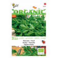 Buzzy® Organic Peterselie Gigante d'Italia  (BIO) - afbeelding 1