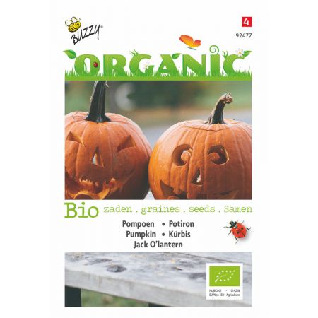 Buzzy® Organic Pompoen Jack O'Lantern (BIO) - afbeelding 1