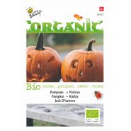 Buzzy® Organic Pompoen Jack O'Lantern (BIO) - afbeelding 1