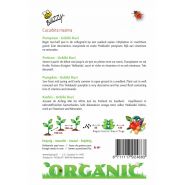 Buzzy® Organic Pompoen Uchiki Kuri  (BIO) - afbeelding 2