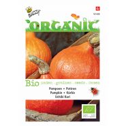 Buzzy® Organic Pompoen Uchiki Kuri  (BIO) - afbeelding 1