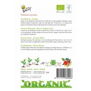 Buzzy® Organic Pronkboon Emergo (BIO) - afbeelding 2