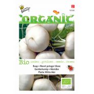 Buzzy® Organic Raap Platte Witte Mei (BIO) - afbeelding 1