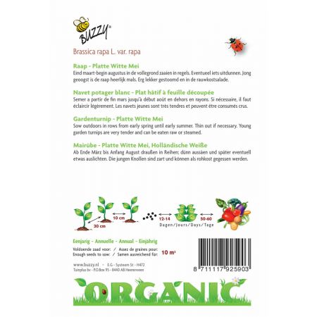 Buzzy® Organic Raap Platte Witte Mei (BIO) - afbeelding 2