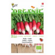 Buzzy® Organic Radijs French Breakfast 3 (BIO) - afbeelding 1