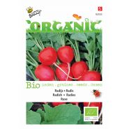 Buzzy® Organic Radijs Raxe  (BIO) - afbeelding 1