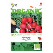 Buzzy® Organic Radijs Saxa 2 (BIO) - afbeelding 1