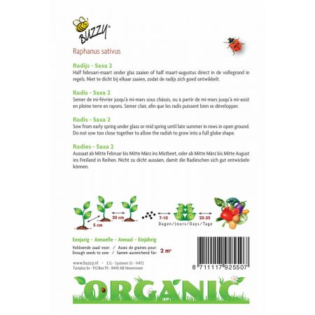 Buzzy® Organic Radijs Saxa 2 (BIO) - afbeelding 2